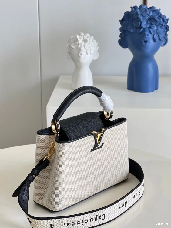 BB VUITTON CAPUCINES LOUIS 0817